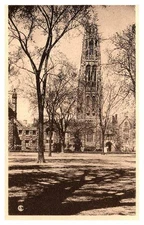 Postcard SCHOOL SCENE New Haven Connecticut CT d/20 AP9155
