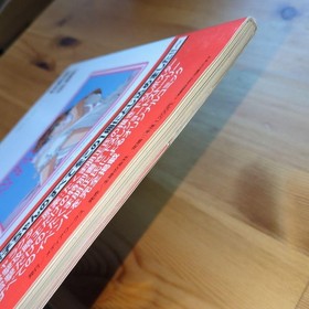 Roommate Ryoko Summer Vacation Official Strategy Guide Sega Saturn 1997 PN