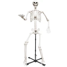 7.9Ft/240cm Giant Skeleton Life Size Skeleton with Metal Adjustable Stand for...