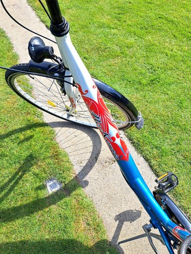 Damenfahrrad mit 28 Zoll-Rädern - Bild 6 von 6