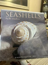 Seashells 2024 12 X 12 Wall Calendar by Willow Creek Press