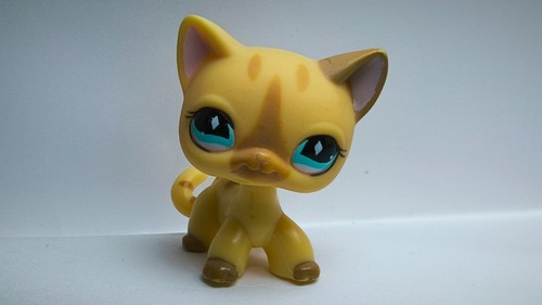 Littlest Pet Shop # 886 Shorthair cat Chat européen Authentic LPS -142 - Imagen 4 de 8