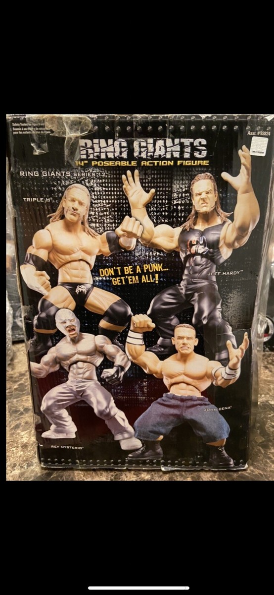JAKKS Pacific Wwe Ring Giants JEFF HARDY Series 12 VHTF RARE