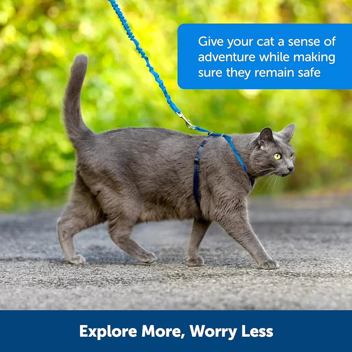 PetSafe Easy Walk Cat Harness with Bungee Lead Comfy Control in Medium