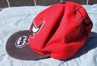 Chicago Bulls Windy City Bull Head Snapback Unisex Cap, 1 Size Pre-owned — photo 10
