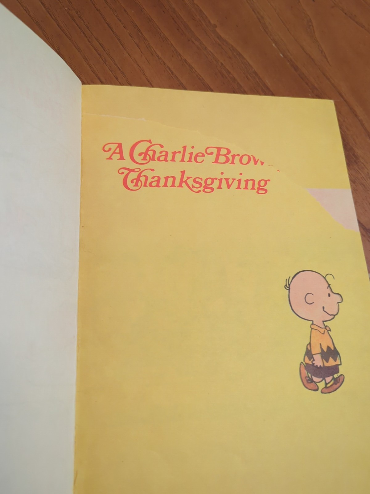 Super Sale! Thanksgiving 30pc Lot Beistle Paper Magic Die-Cuts Book Decorations