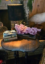 XLarge Pink Coral Specimen Natural Sea Coral Ocean Coral 18x10 Inches Reef Coral