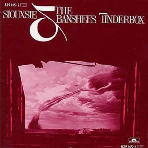 25+ Pop Siouxsie and the Banshees Music CDs for sale | Updated Oct