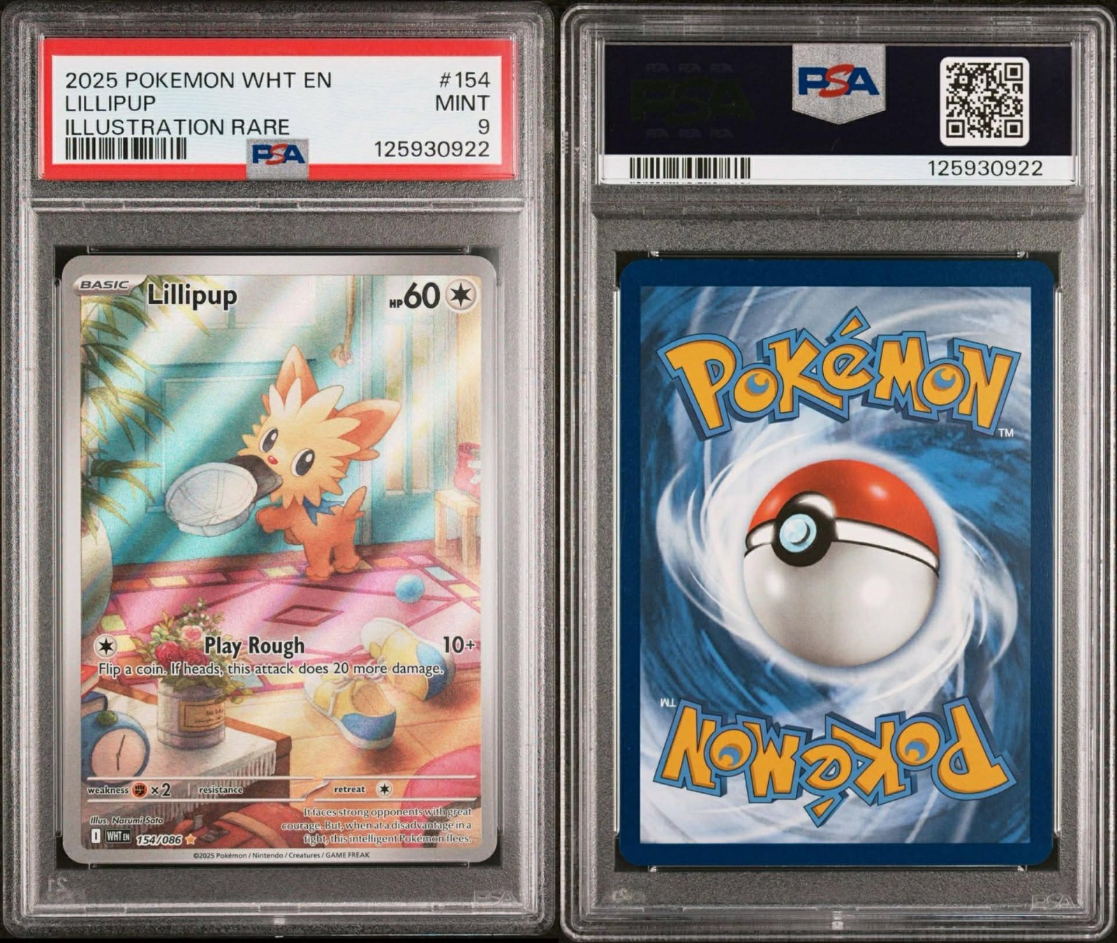 Lillipup, Illustration Rare #154 - 2025 Pokemon WHT EN-White Flare - PSA 9 MINT