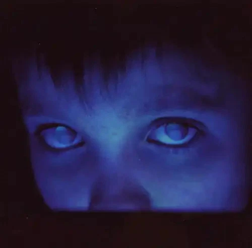 Porcupine Tree - Fear of a Blank Planet - Bild 1 von 1