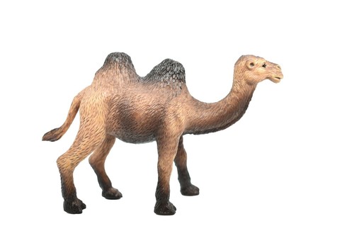 Camel Double Hump Realistic Small Toy Model Plastic Replica Animal 4.5" OK17 - 第 1/12 張圖片