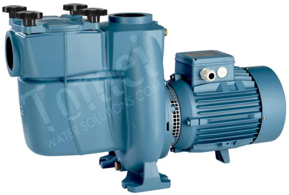 Circulation PUMP for pool Calpeda 15m3/h Self-suction 1,5Hp NMPM 32/12AE filter