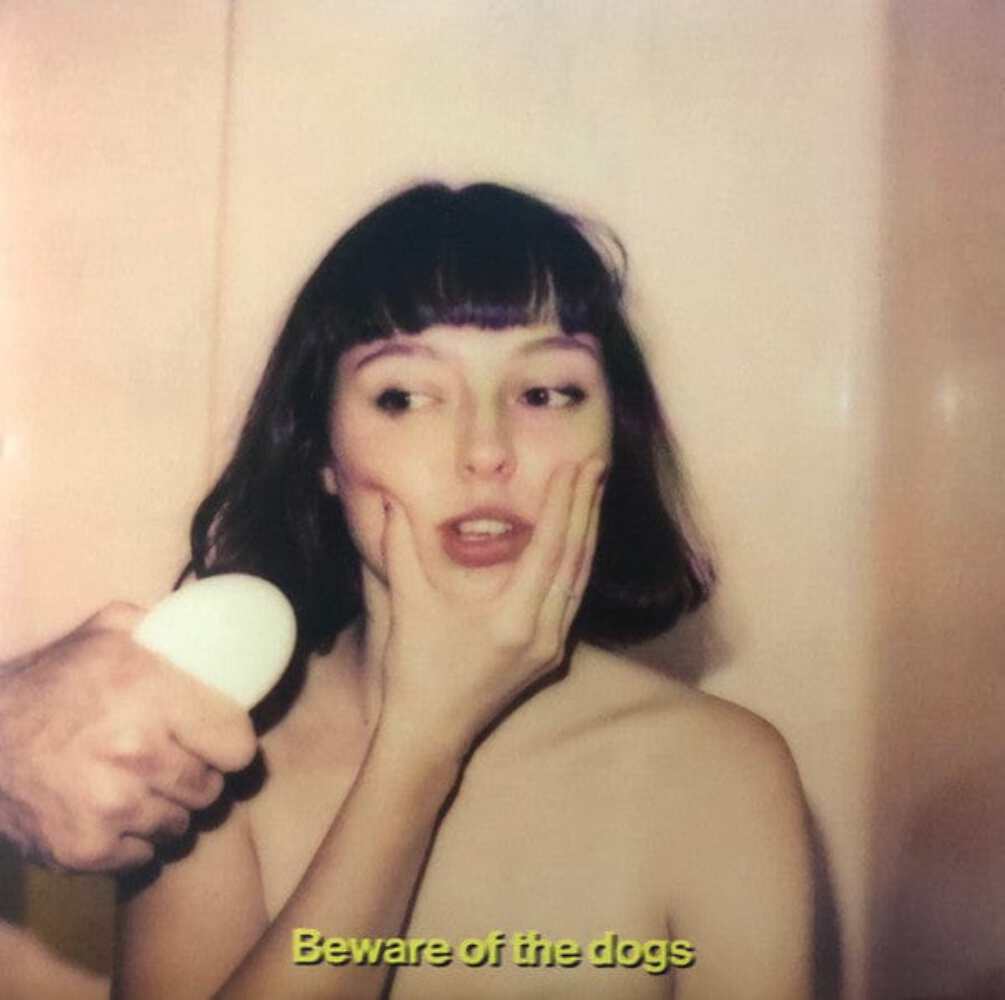 洋楽 Stella Donnelly - Beware Of The Dogs LP Stella Donnelly - Beware Of The Dogs (LP) 656605037219| eBay