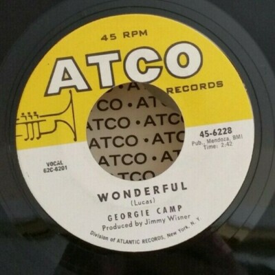 Georgie Camp  HEY DOLL /  WONDERFUL (ROCK N ROLL 45) #6228 PLAYS VG++ NO NOISE!