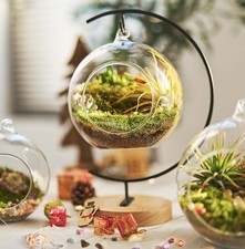 15-Piece Terrarium Kit with Live Moss   DIY Glass Globe Set with Tools, Soil,...