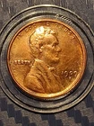 1909 S Lincoln Wheat Cent 1c RARE San Francisco Key Date UNC .