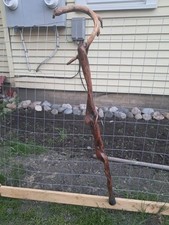 Diamond Willow Walking Stick With Deer Antler Handles