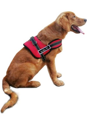 xl dog harness with handle