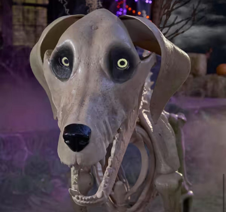 7ft FT Skeleton Dog Skelly's Home Accent Halloween 2024 Home Depot SAME