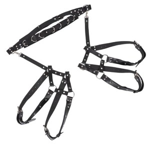 Garter Holster | eBay