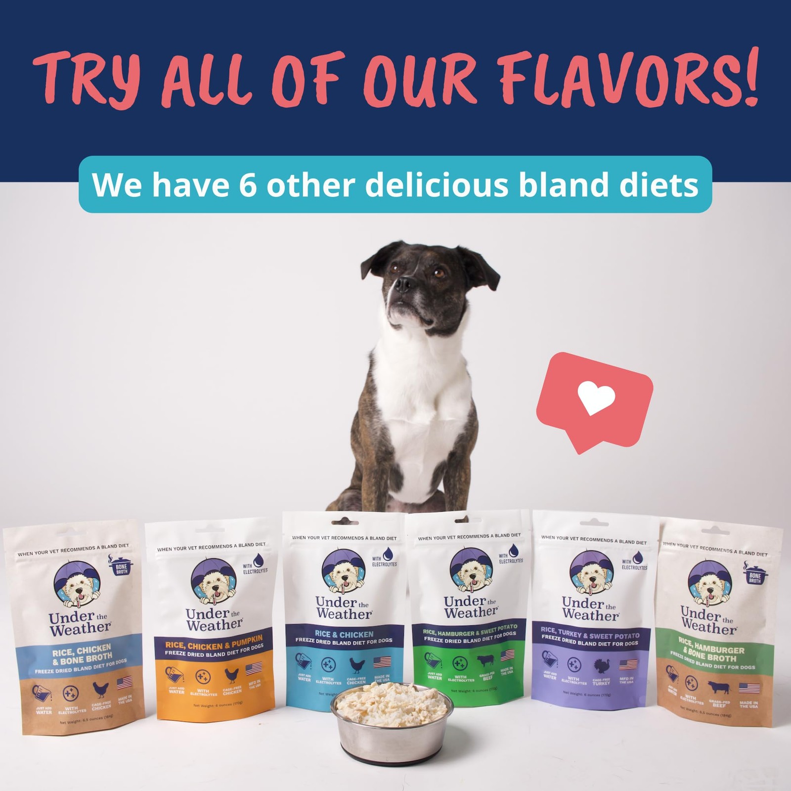 Under the Weather Bland Diet for Dogs | Easy to Digest Stomach Support for Si...