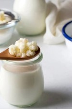 Milk Kefir grains, live active grains Bulgaros De Leche  35gr. approx 
