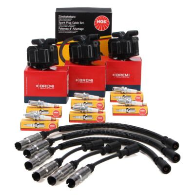 3x BREMI Zündspule + NGK Zündkabelsatz + 6x NGK Zündkerze für SMART (450) 0.6