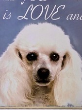 New All You Need Is Love Poodle Dog Wall Sign Plaque Picture Blue White Paw