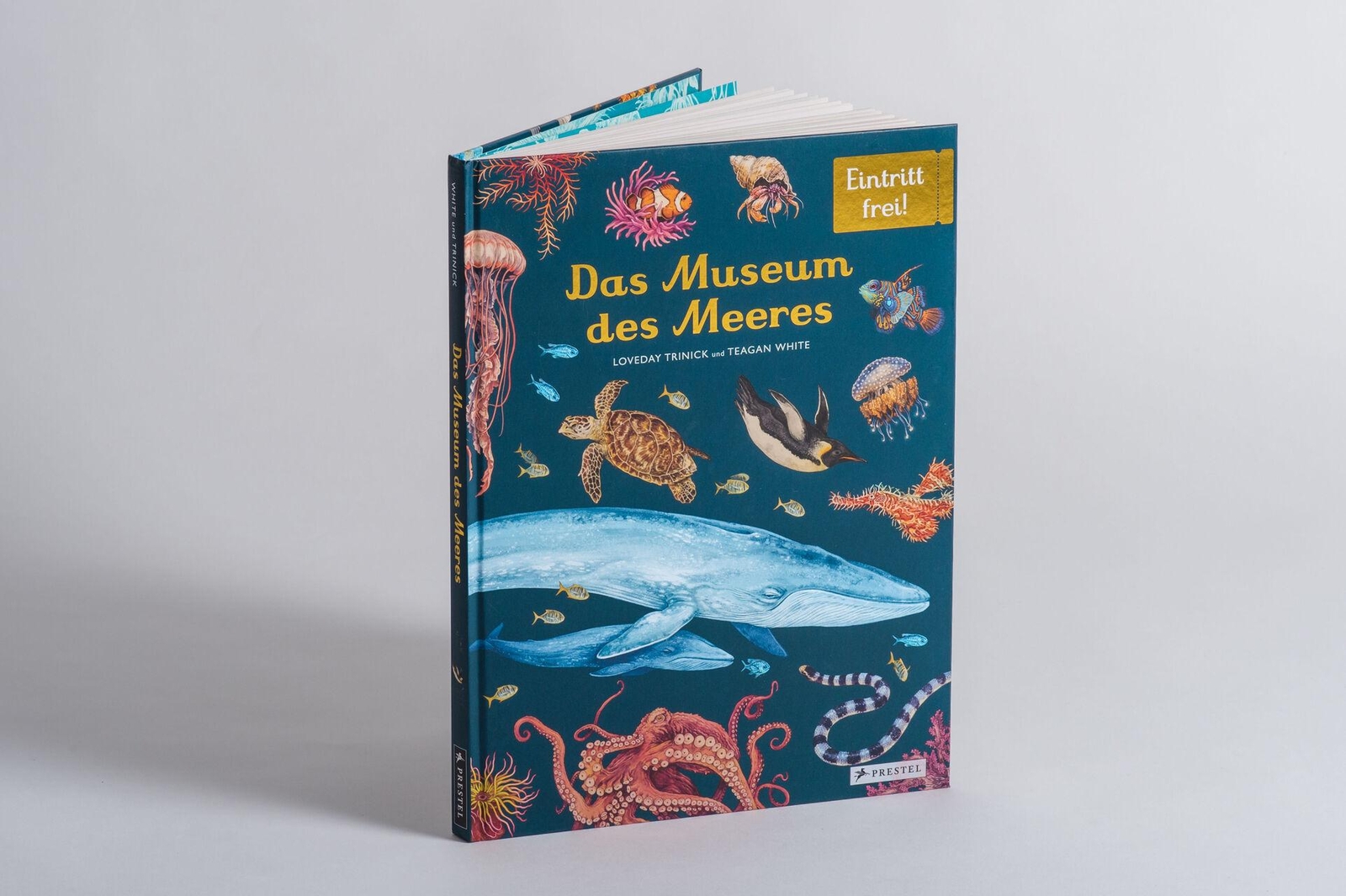 Thumbnail - Das Museum Des Meeres Loveday Trinick