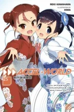 Accel World, Vol. 25 (light novel) Format: Paperback