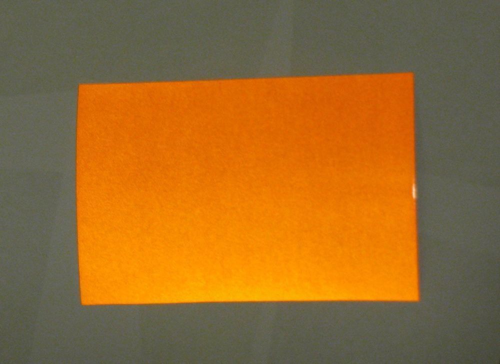 Foto 7 di 8