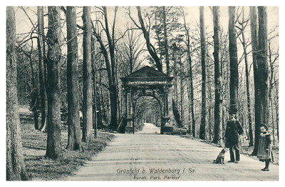 Ak, Grünfeld bei Waldenburg Fürstl. Park (N)20011