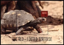 NEVIS 1981 - Red-footed Tortoise "Souvenir Sheet" (pb52251)