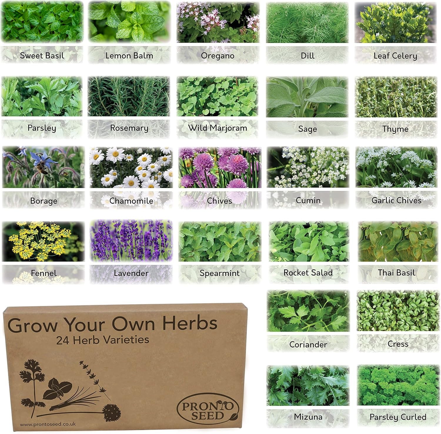 Pronto 24 Variety Herb Seed Grow Your Own Kit Garden Gift