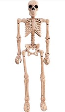 2 Halloween Decor Skeleton 8 inch, Bendable