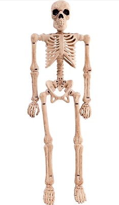 Skeleton 8 Inch Reference 2 Halloween Decor Skeleton 8 inch, Bendable | eBay