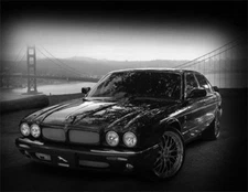 Upper & Bottom Mesh Grille Grill Combo Set w/ R emblem set for Jaguar XJ8 XJR 