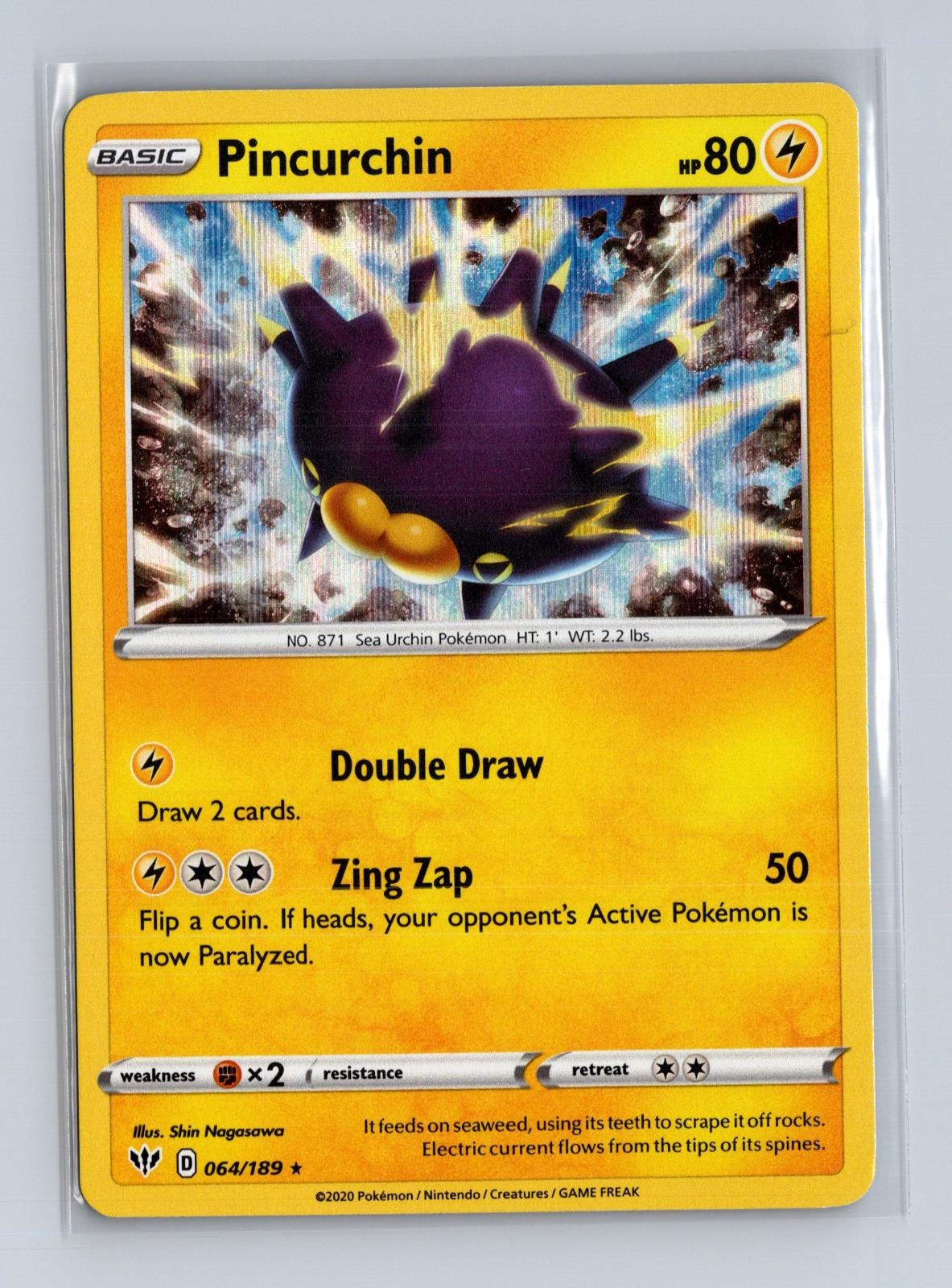 Pincurchin 064/189 Holo Rare Darkness Ablaze Pokemon Near Mint