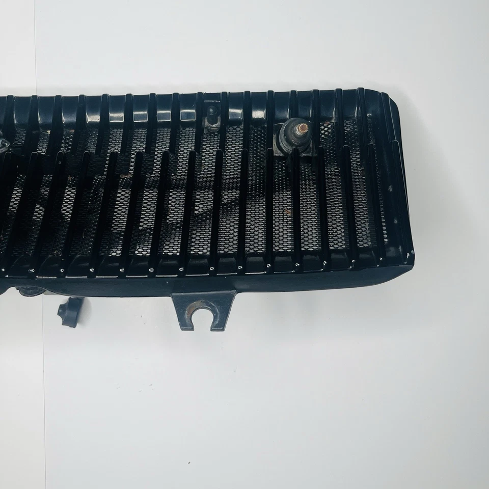 Motor limpiaparabrisas Jaguar XJS y malla rejilla ventilación capucha negro OEM 1976-1991 Foto 4 de 4