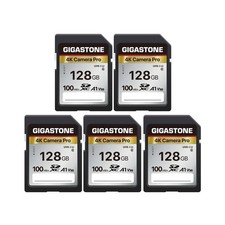 5-Years Data Recovery GIGASTONE 128GB SD Card 5-Pack, 4K Camera