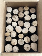 DEKOSCHEITE, FEIN GESÄGT, Brennholz, 20 cm lang