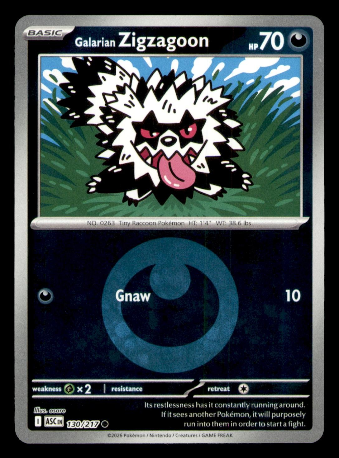 Galarian Zigzagoon (Energy Symbol) 130/217 Ascended Heroes Reverse Holo NM