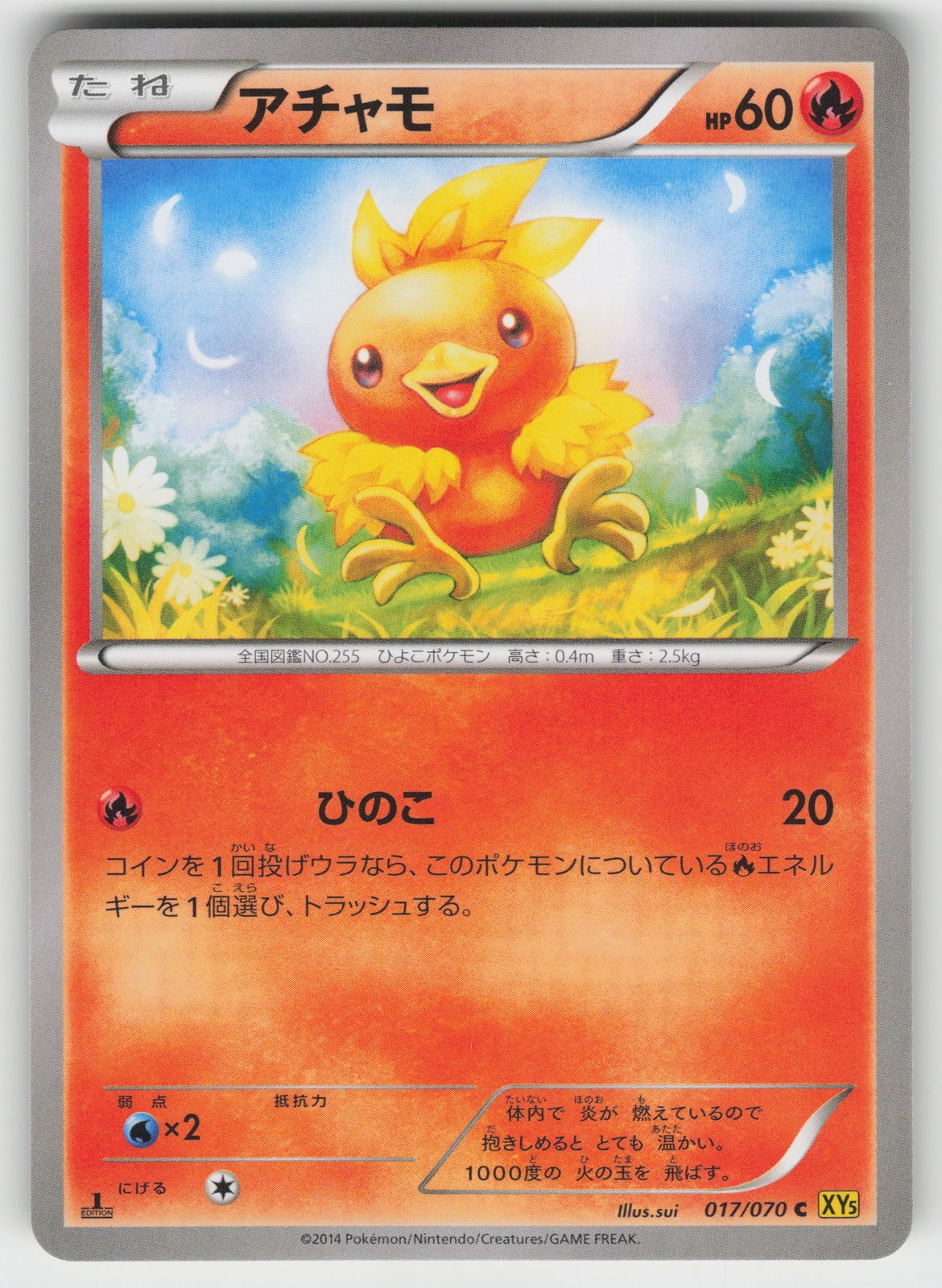 Torchic - XY5-Bg: Gaia Volcano 017/070 Common NM Japanese