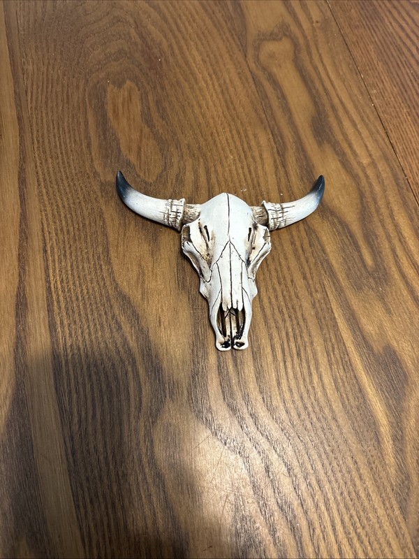 Bull/buffalo Skelton Head, Resin Wall Art