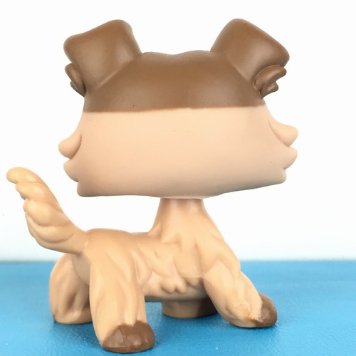 Authentic Littlest Pet Shop #893 Collie Dog / Original Hasbro LPS - Picture 2 of 4