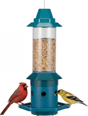 Squirrel-Proof Bird Feeder with Adjustable Weight-Activated Perch, Wild Bird Fee