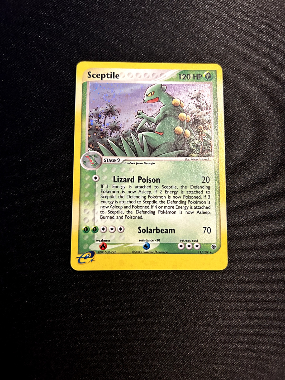 Sceptile 11/109 EX Ruby & Sapphire Holo 2003 Rare Pokemon NM!!!