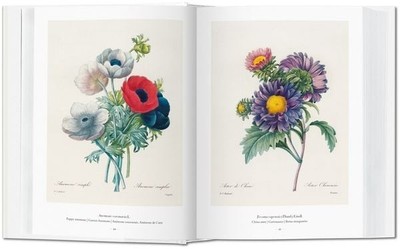 Pierre-Joseph Redouté. The Book of Flowers Das Buch der Blume / Le livre des ...