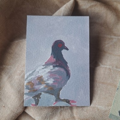 ACEO original gouache pigeon painting 2/2 birds animal nature ajacks_art