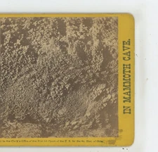 Grape Clusters Mammoth Cave KY Kentucky Chas Waldack Stereoview c1870